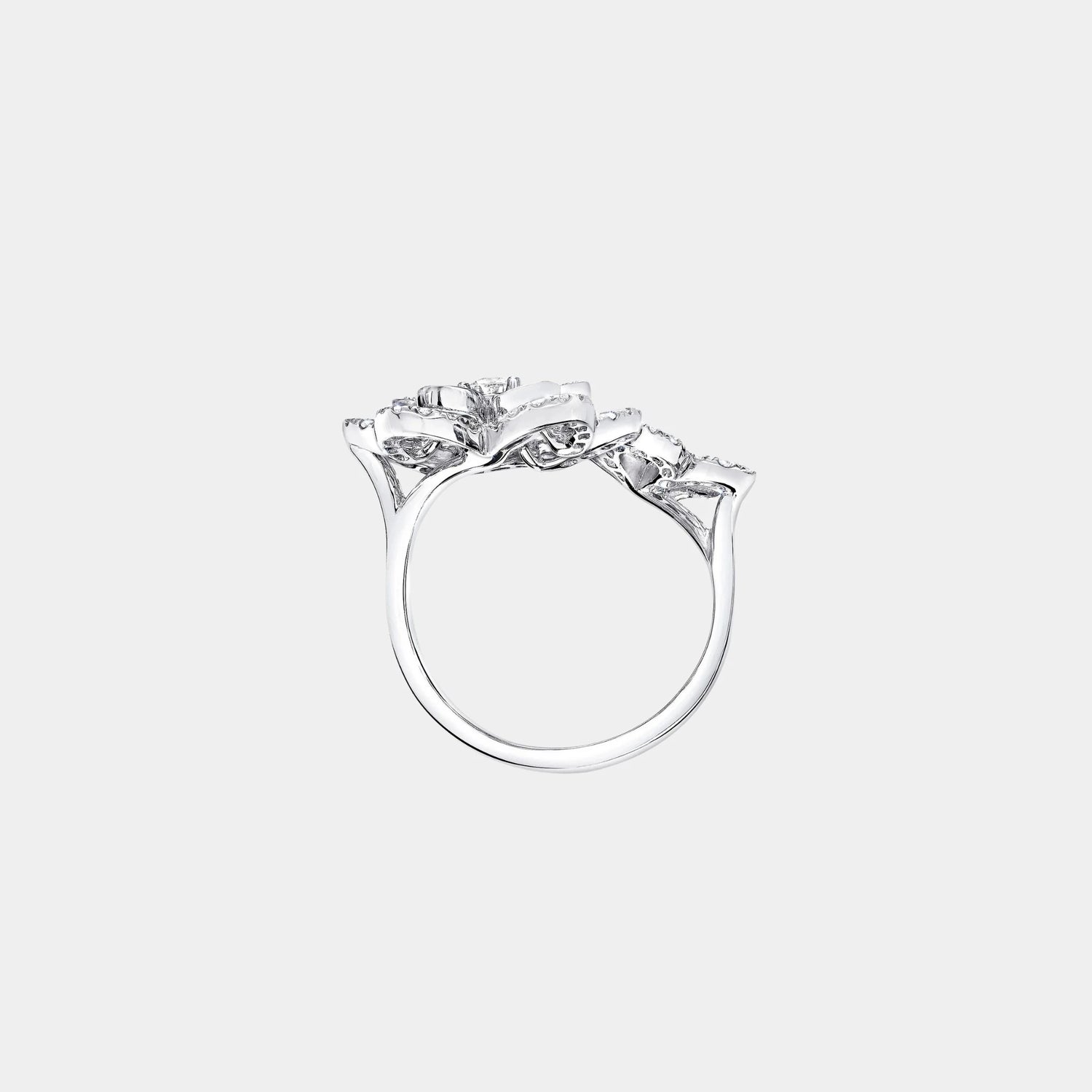 Graff Wild Flower Double Diamond Ring, Front