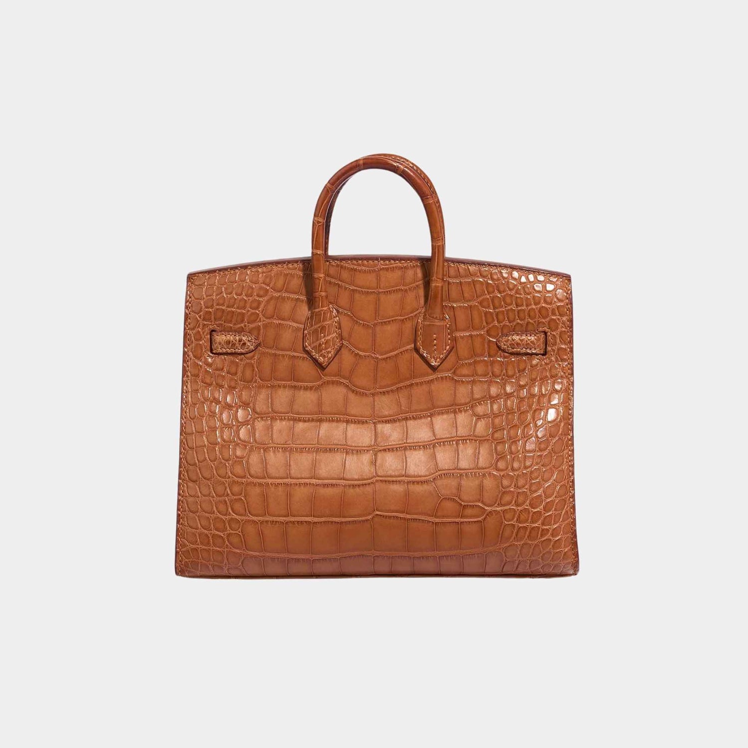 Hermes Birkin 20 Alligator Mississippi Gold GHW, Back
