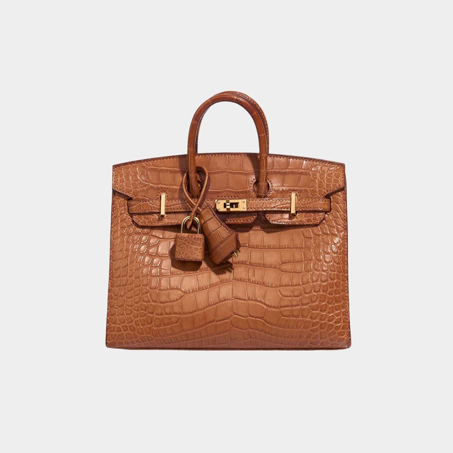 Hermes Birkin 20 Alligator Mississippi Gold GHW, Front
