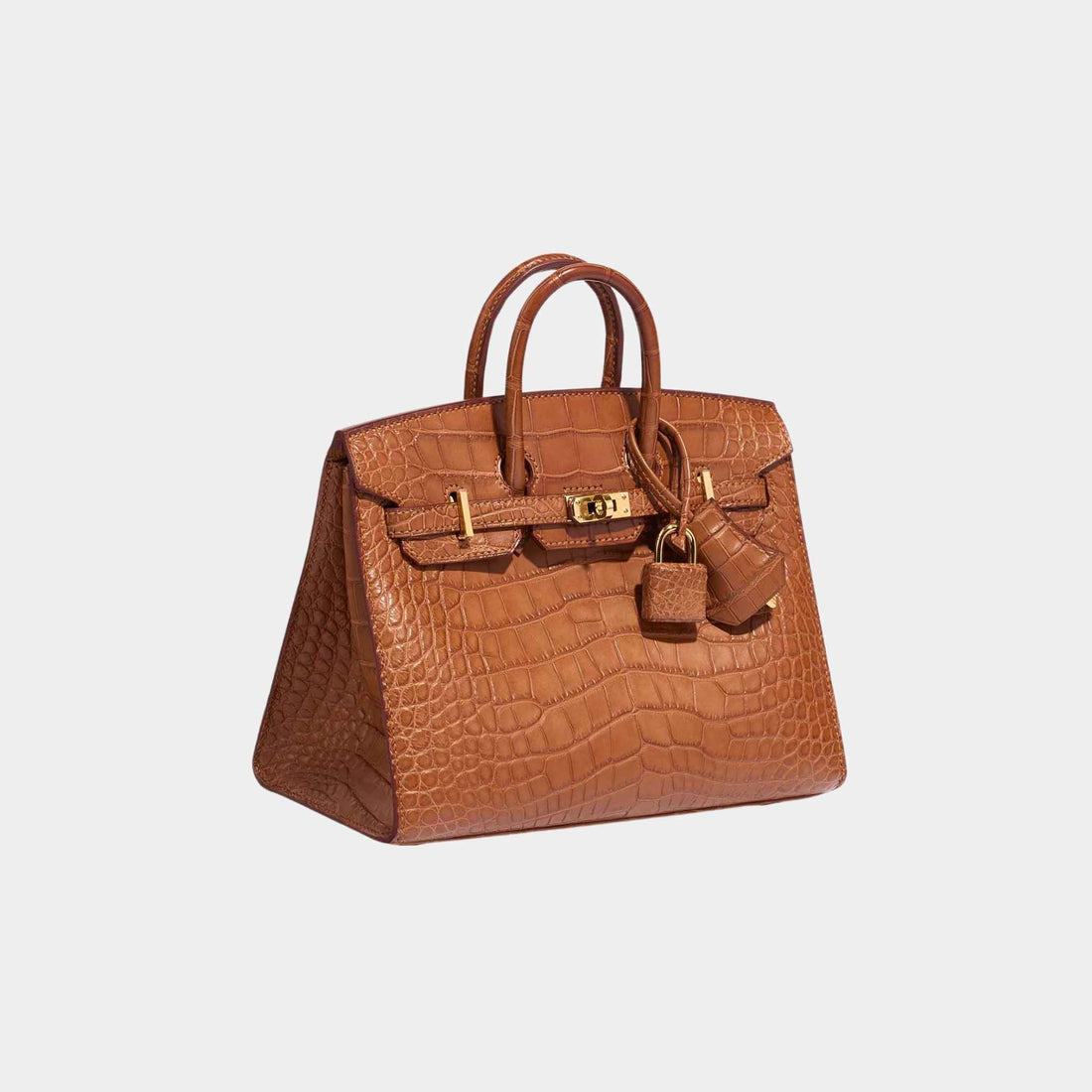 Hermes Birkin 20 Alligator Mississippi Gold GHW, Side