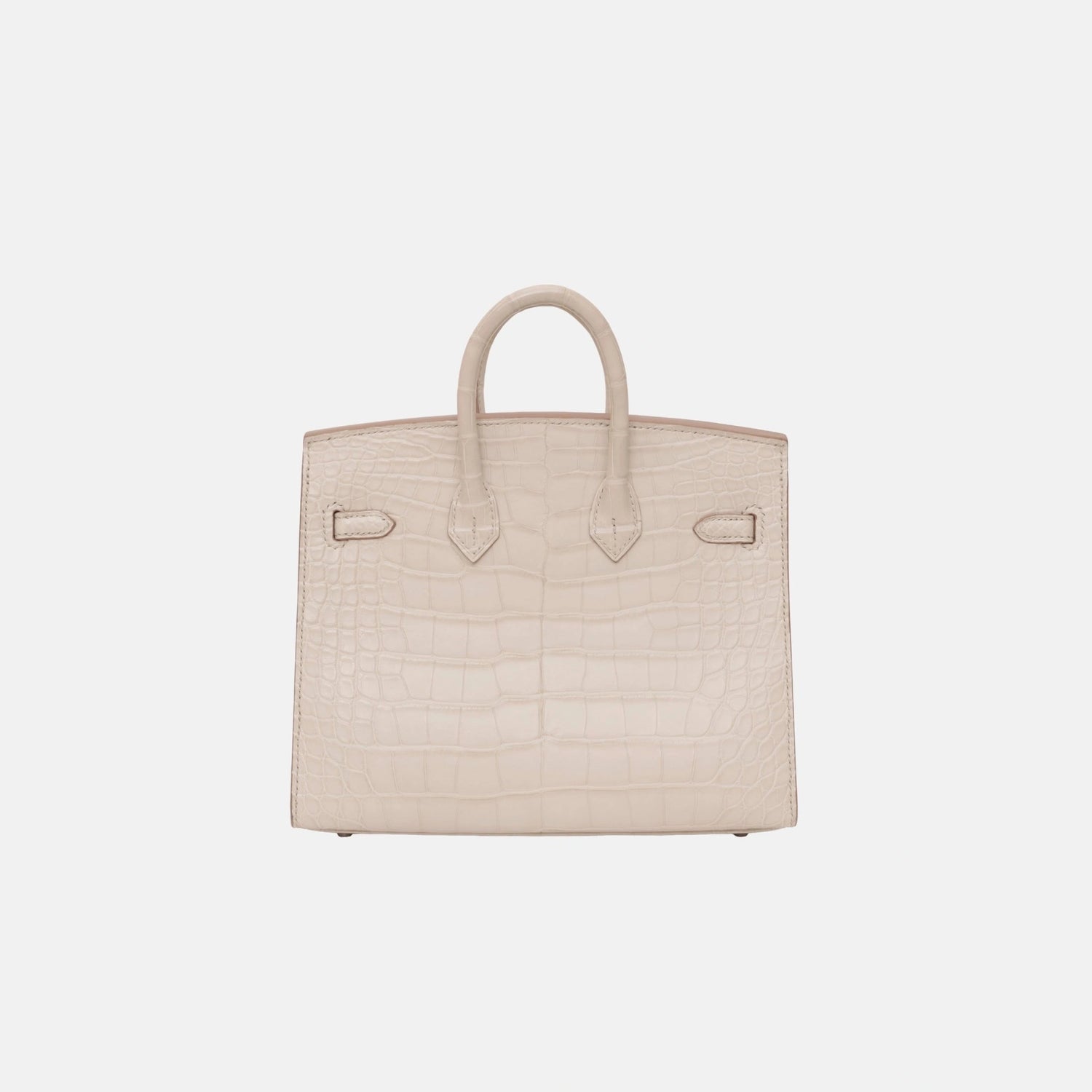 Hermes Birkin 20 Beton Matte Alligator PHW, Back