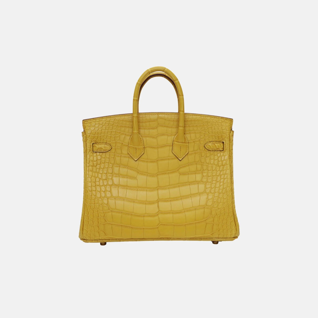 Hermes Birkin 25 Jaune Ambre Matte Alligator GHW, Back