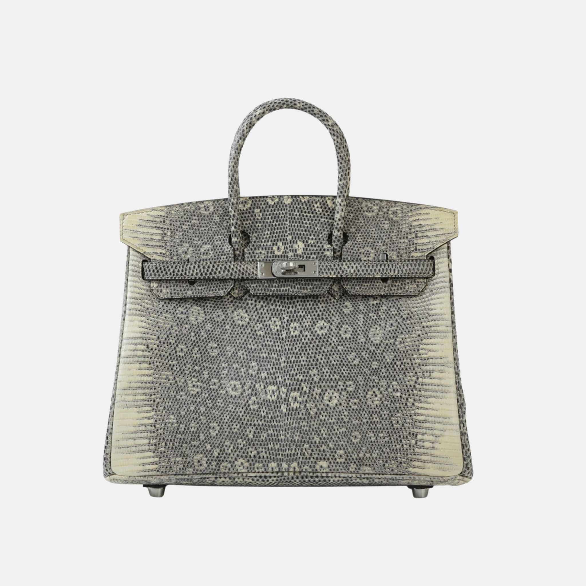 Hermes Birkin 25 Lizard Ombre PHW, Front