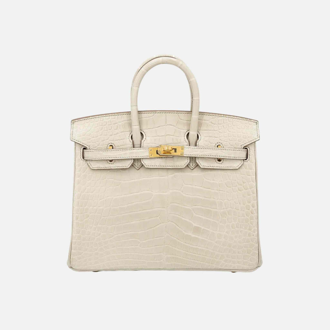 Hermes Birkin 25 Matte Alligator Beton GHW, Front