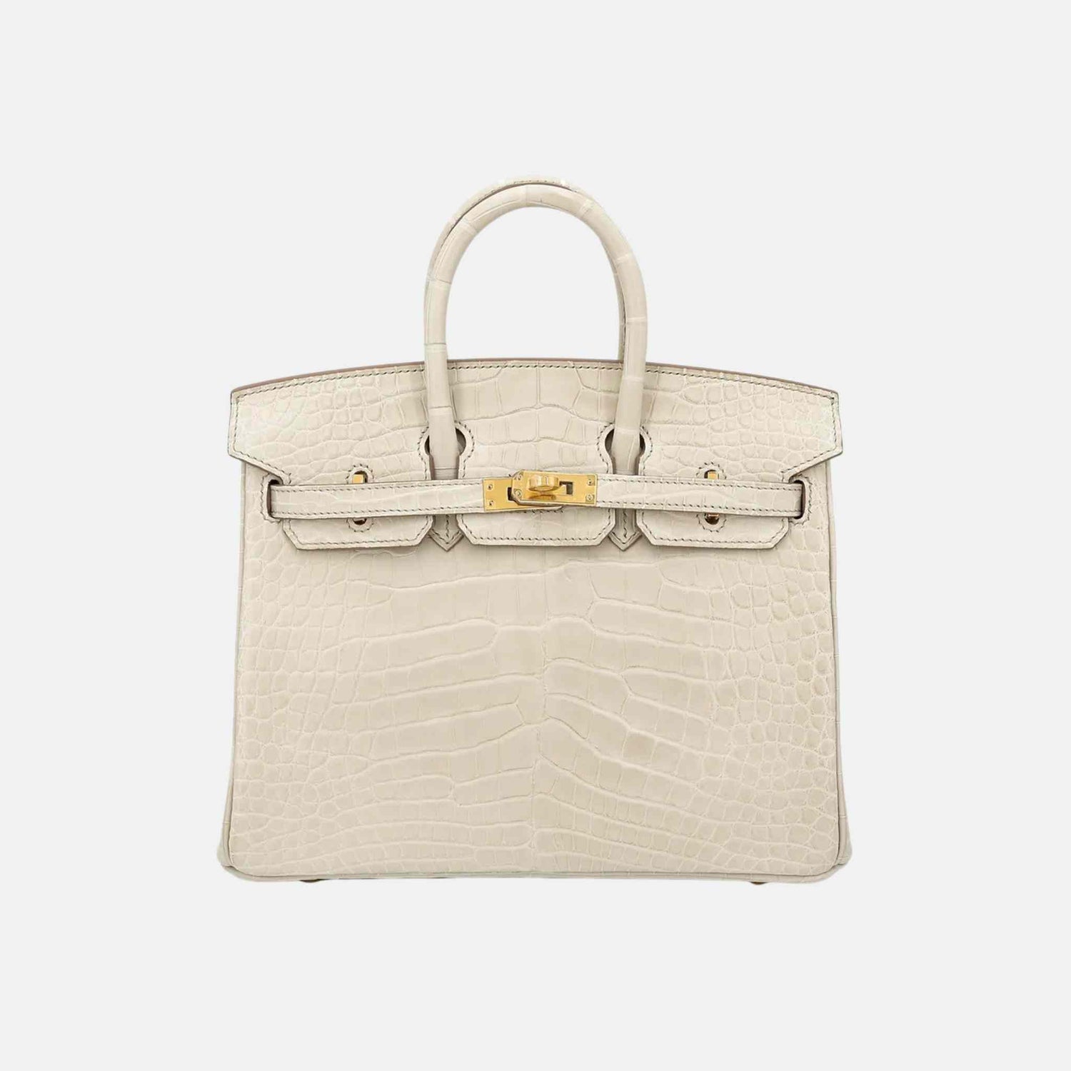 Hermes Birkin 25 Matte Alligator Beton GHW, Front 