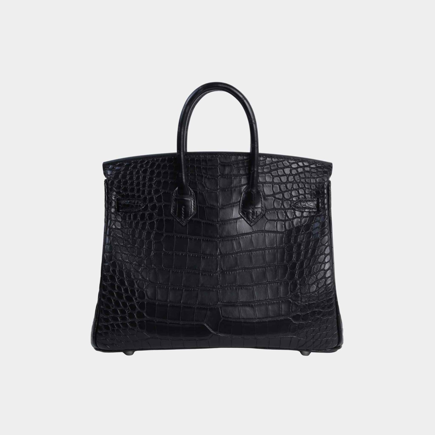 Hermes Birkin 25 Matte Alligator Black PHW, Back