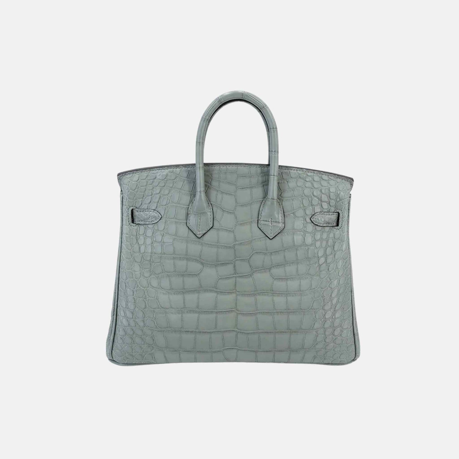 Hermes Birkin 25 Matte Alligator Gris Ciment PHW, Back