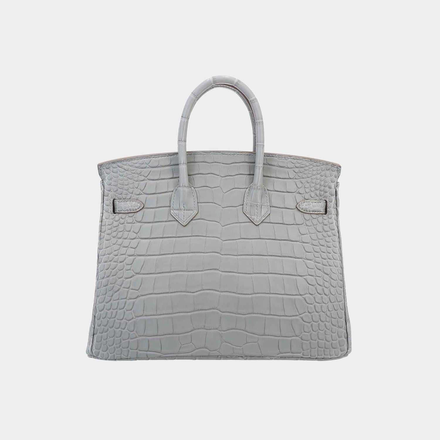 Hermes Birkin 25 Matte Alligator Gris Perle GHW, Back