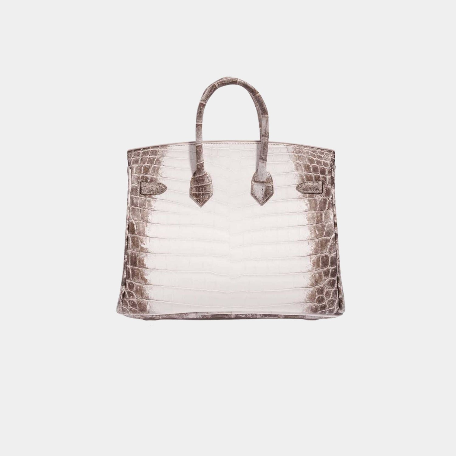 Hermes Birkin 25 Niloticus Crocodile Himalaya Blanc, Back