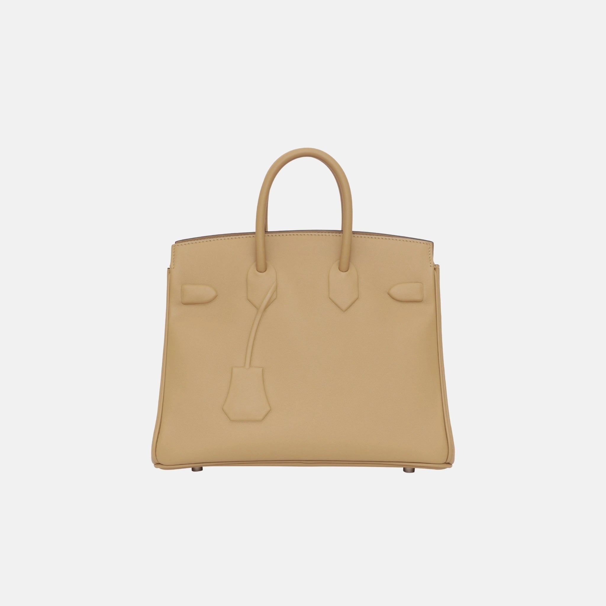 Hermes Birkin 25 Shadow Poussiere Swift, Back