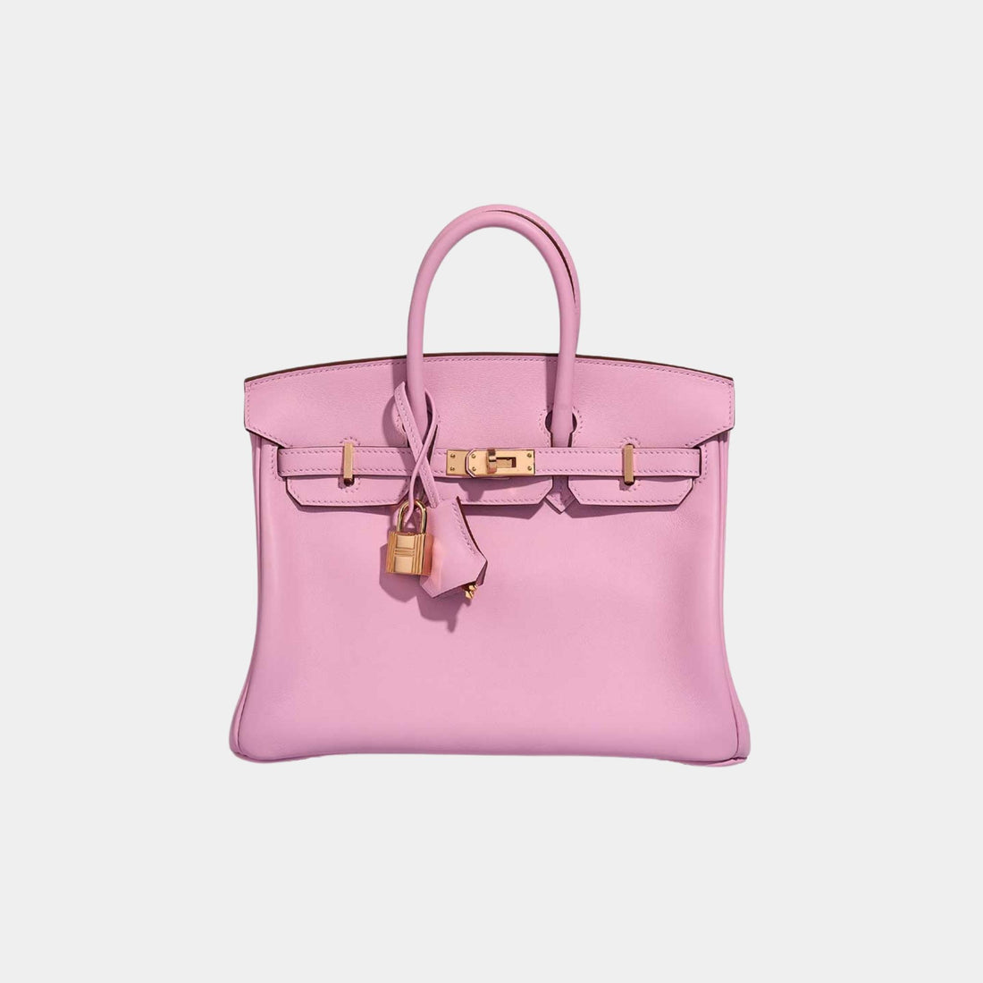 Hermes Birkin 25 Swift Mauve Sylvestre, Front