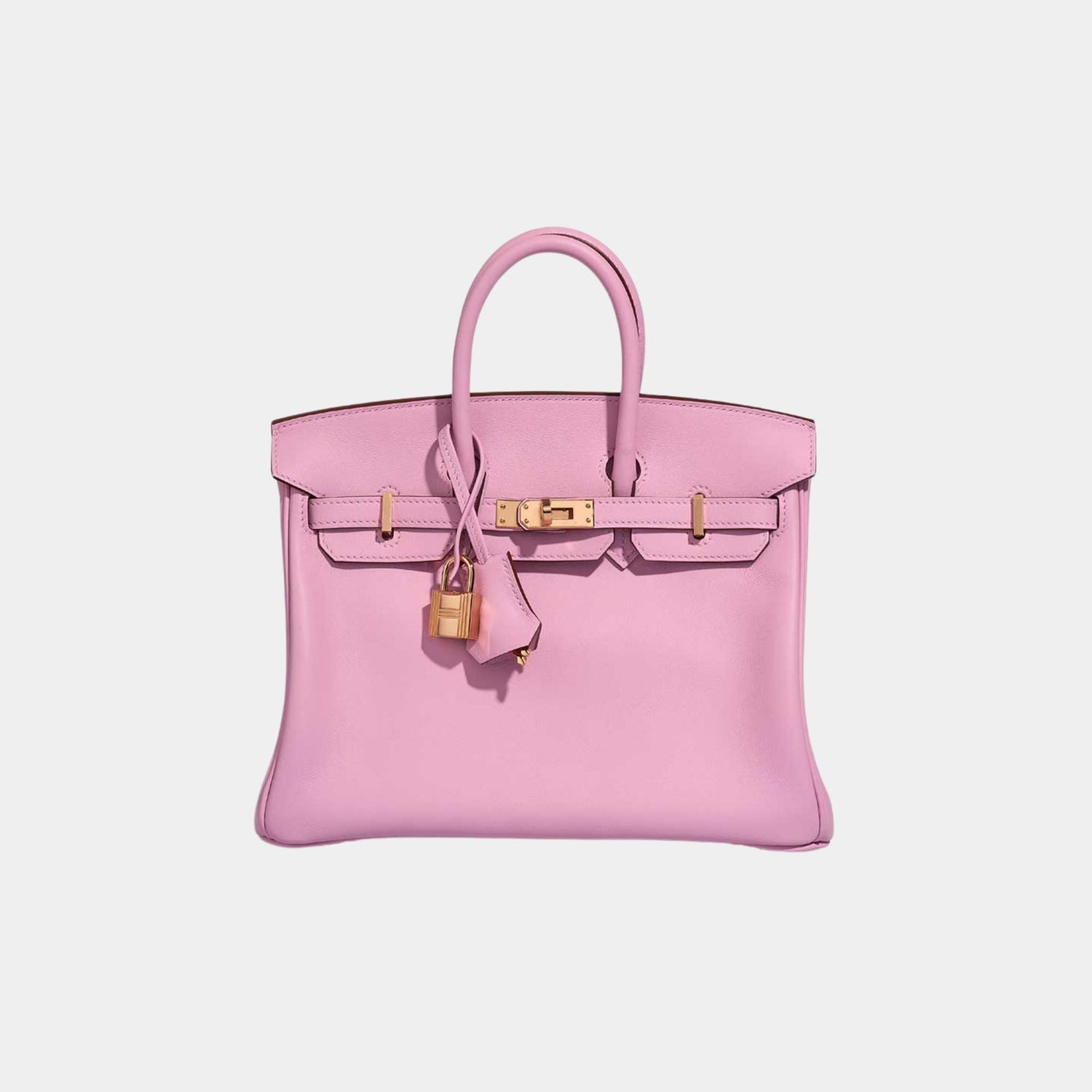 Hermes Birkin 25 Swift Mauve Sylvestre, Front