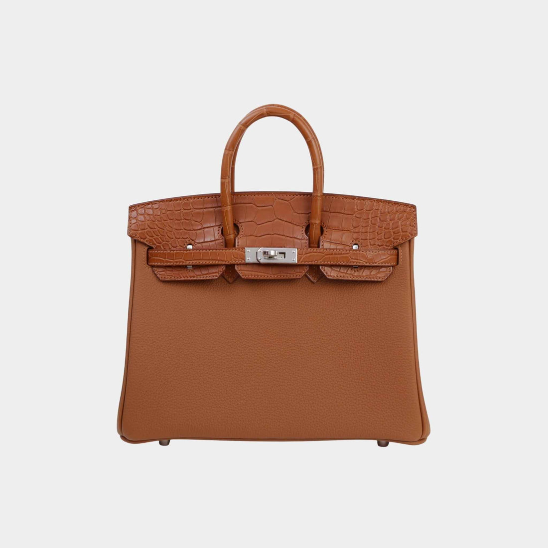 Hermes Birkin 25 Touch Matte Alligator Togo PHW, Front