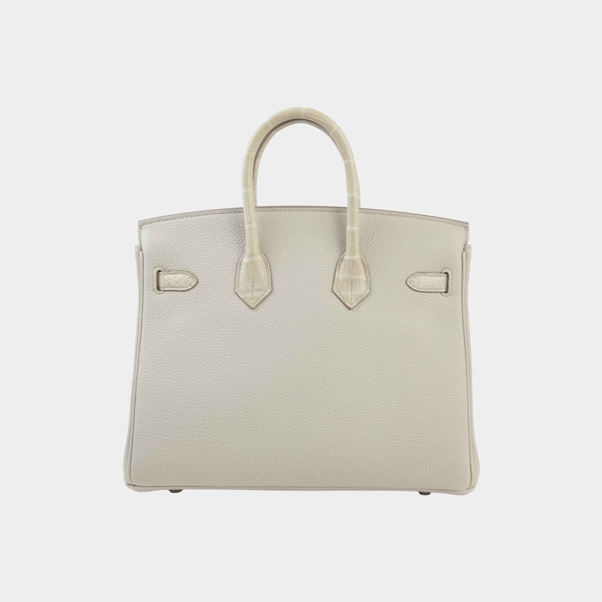 Hermes Birkin 25 Touch Togo Matte Alligator Beton PHW, Back