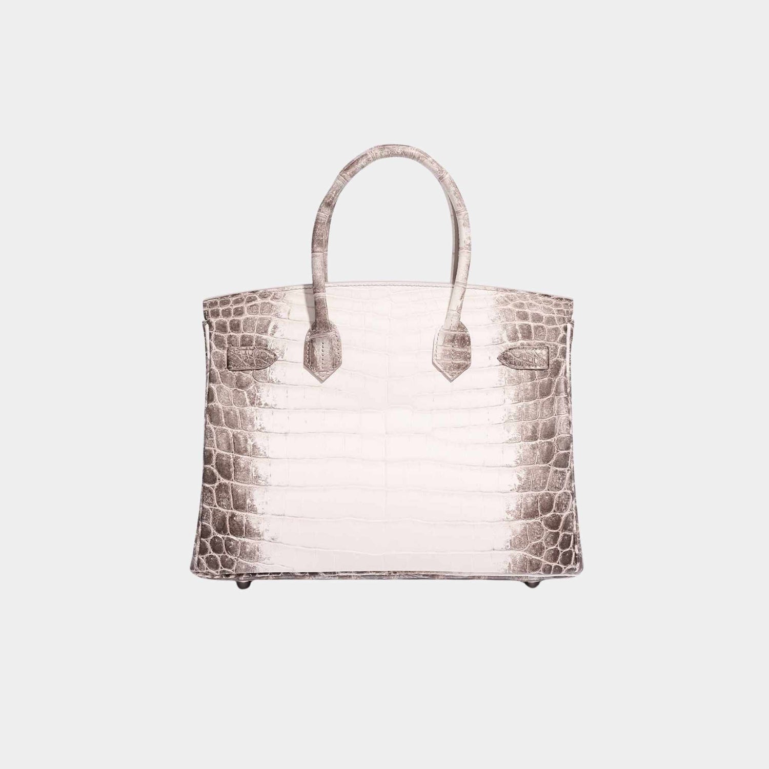 Hermes Birkin 30 Matte Alligator Himalaya Blanc PHW, Back