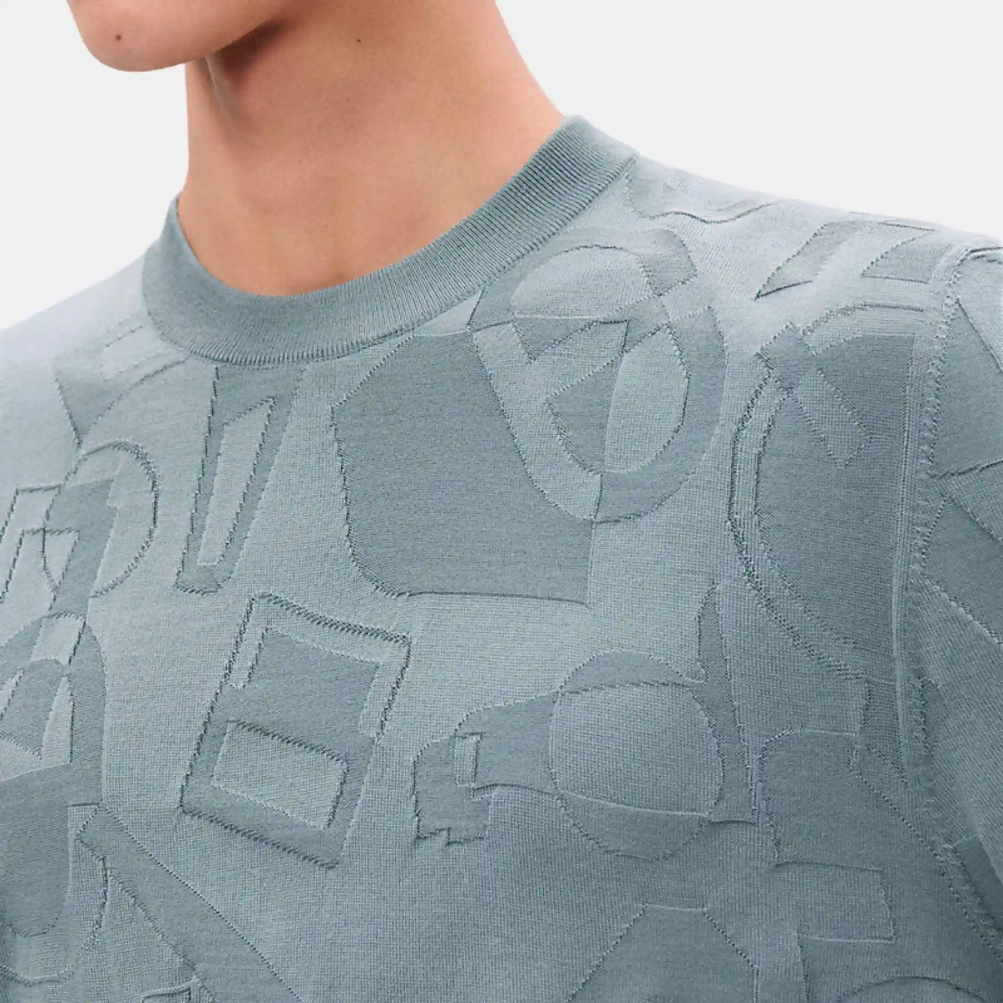 Hermes Fragments Equestres Crewneck Sweater Eucalyptus, Close Up, Model