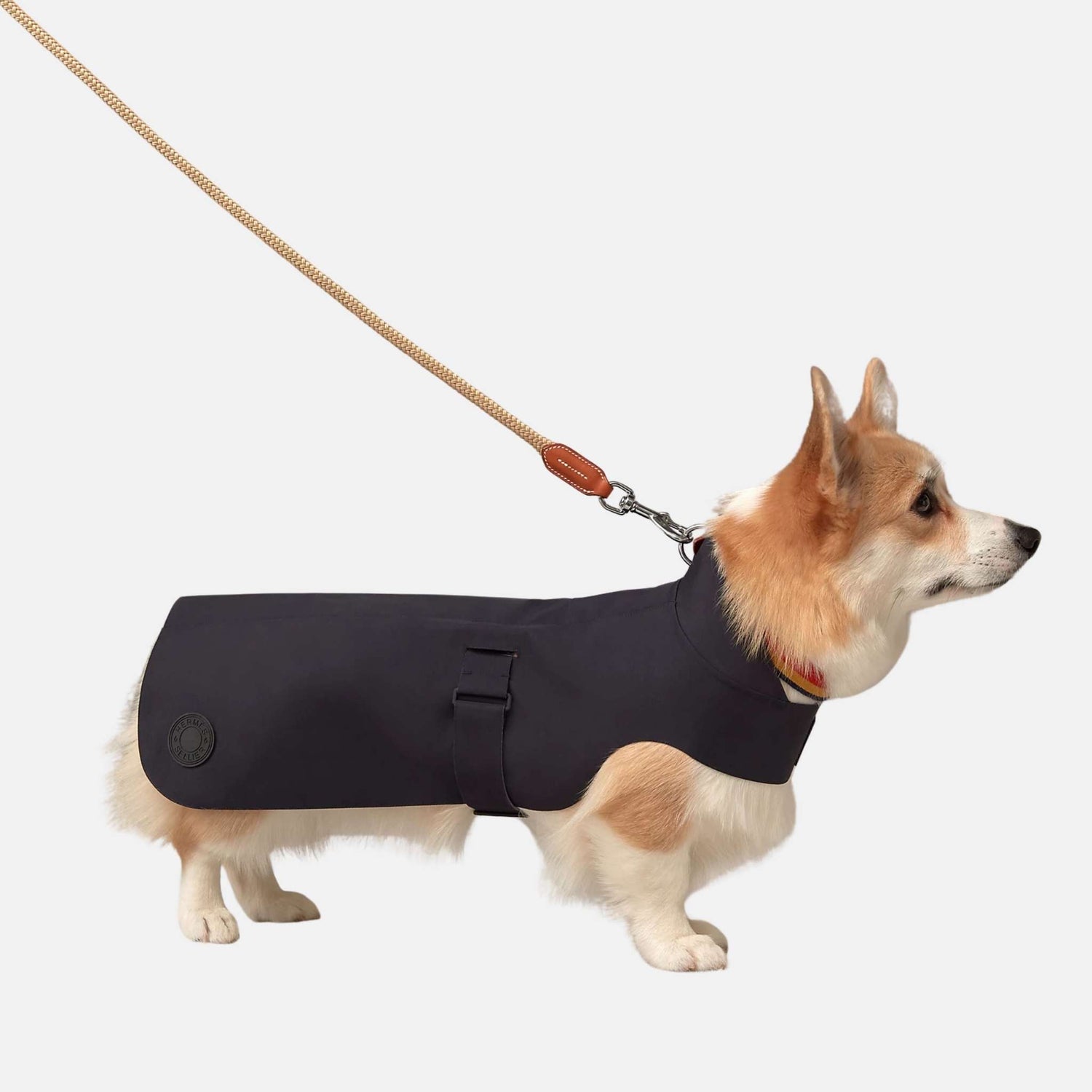 Hermes Luxury Dog Raincoat, Large, Navy
