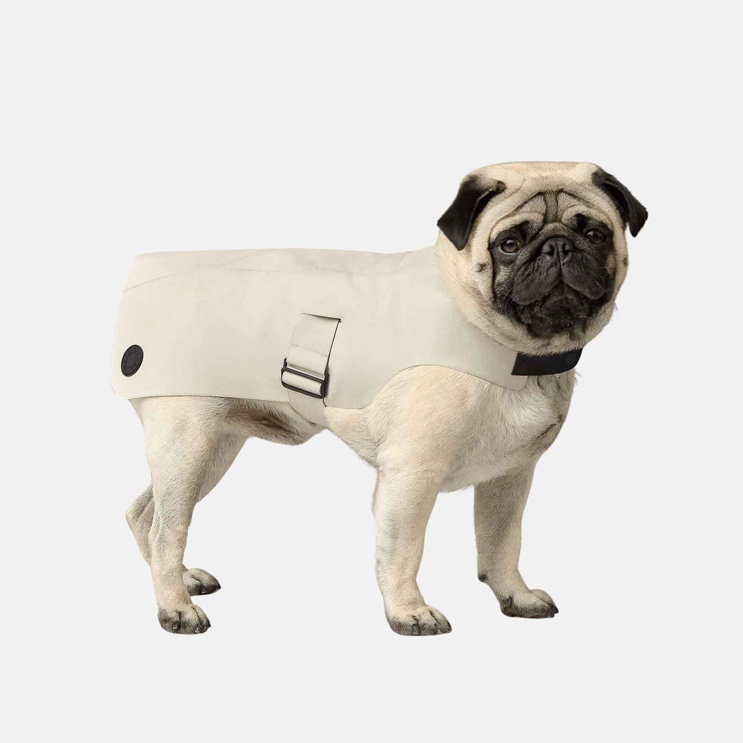 Hermes Luxury Dog Raincoat, Small, Gris