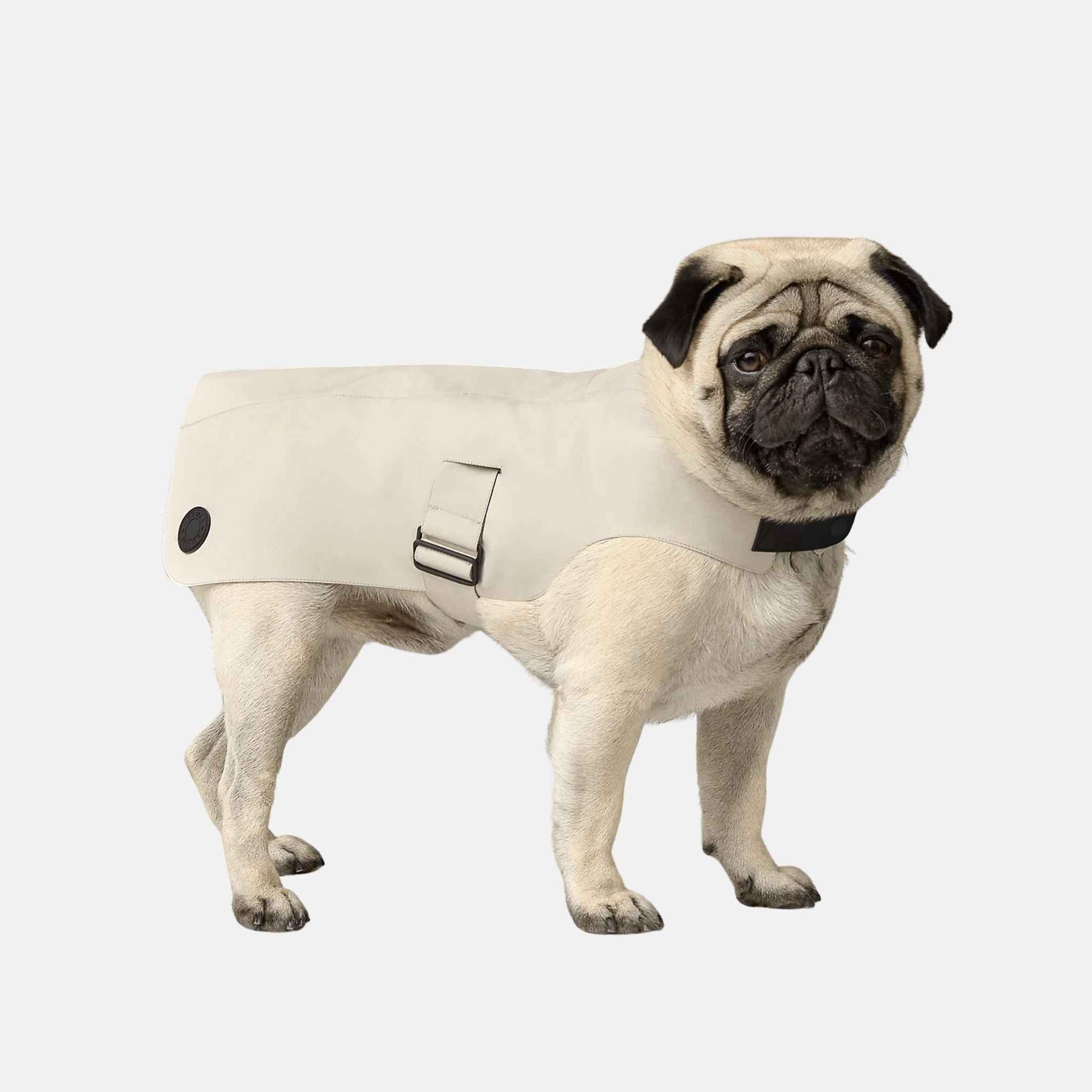 Hermes Luxury Dog Raincoat, Small, Gris