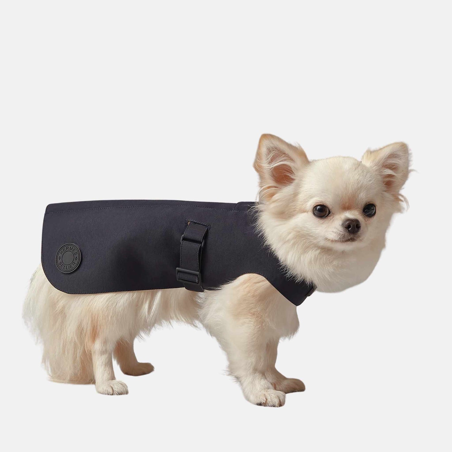 Hermes Luxury Dog Raincoat, Small, Navy