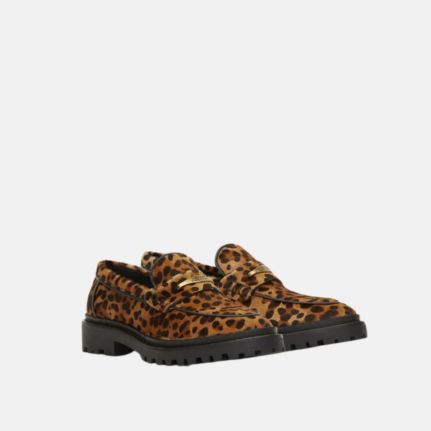 Isabel Marant Fitza Printed Leather Loafers, Front