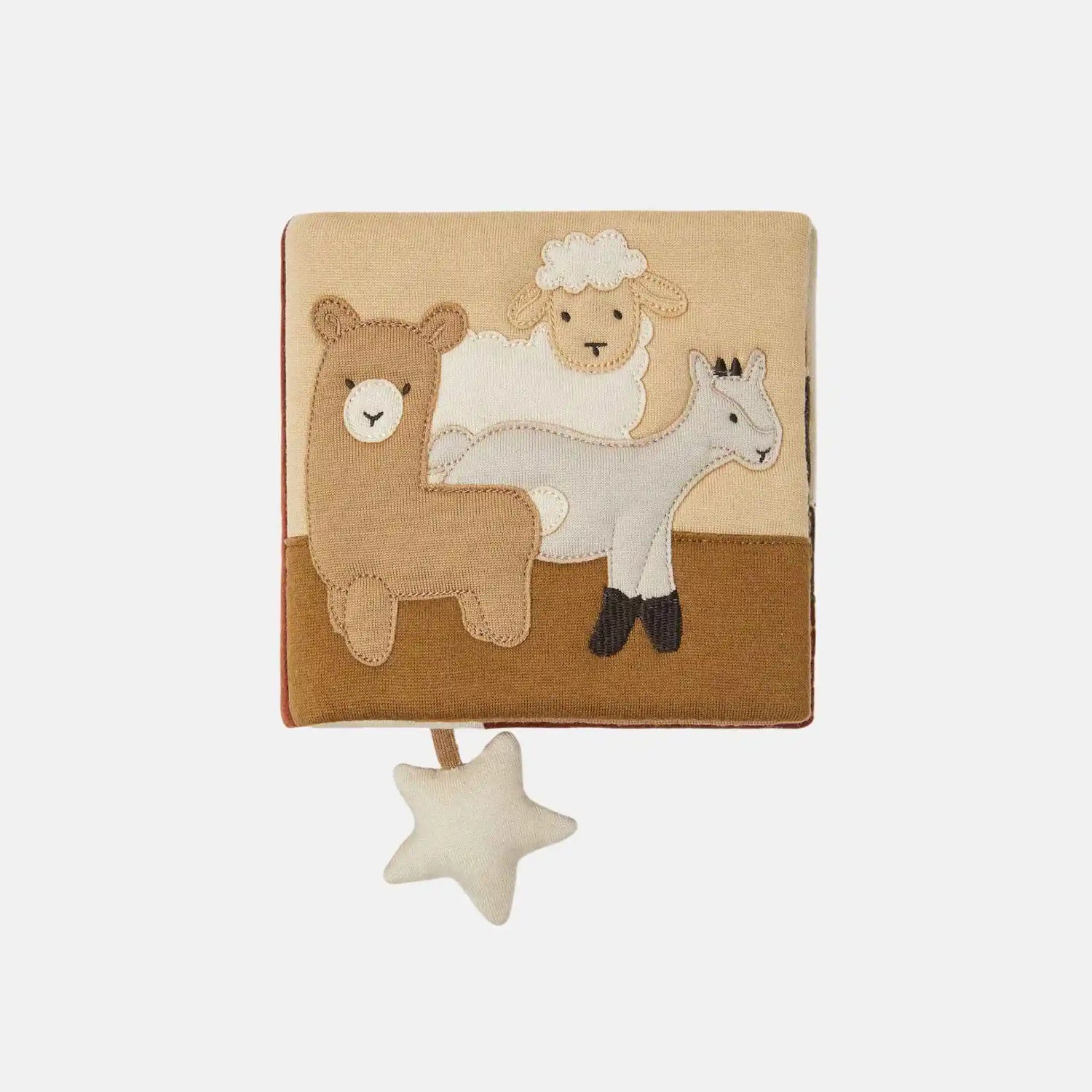 Loro Piana Baby Book Of Wonders Wool, Front