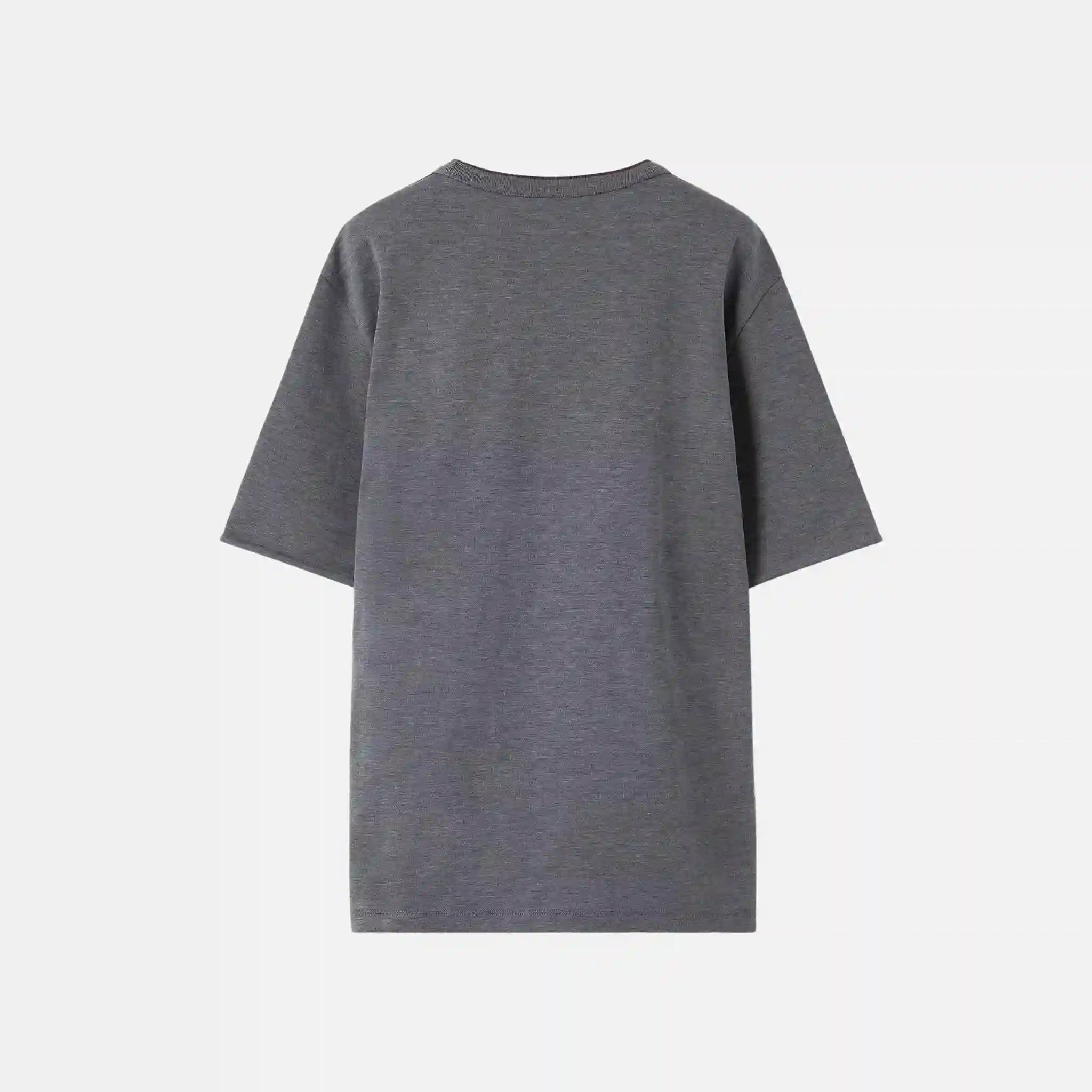 Loro Piana Mustique T Shirt Cotton Silk, Back