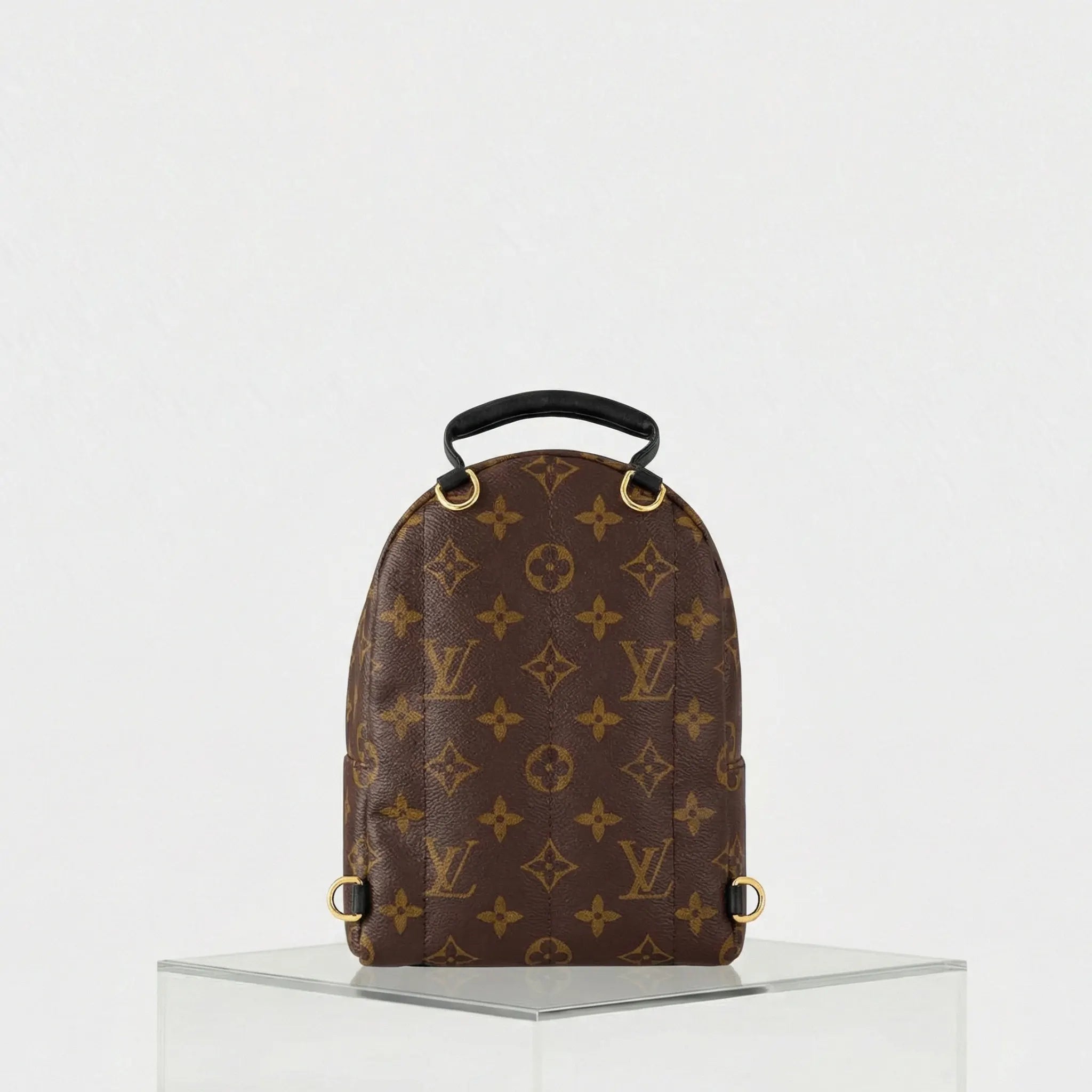 Louis Vuitton Palm Springs Mini Backpack, Back