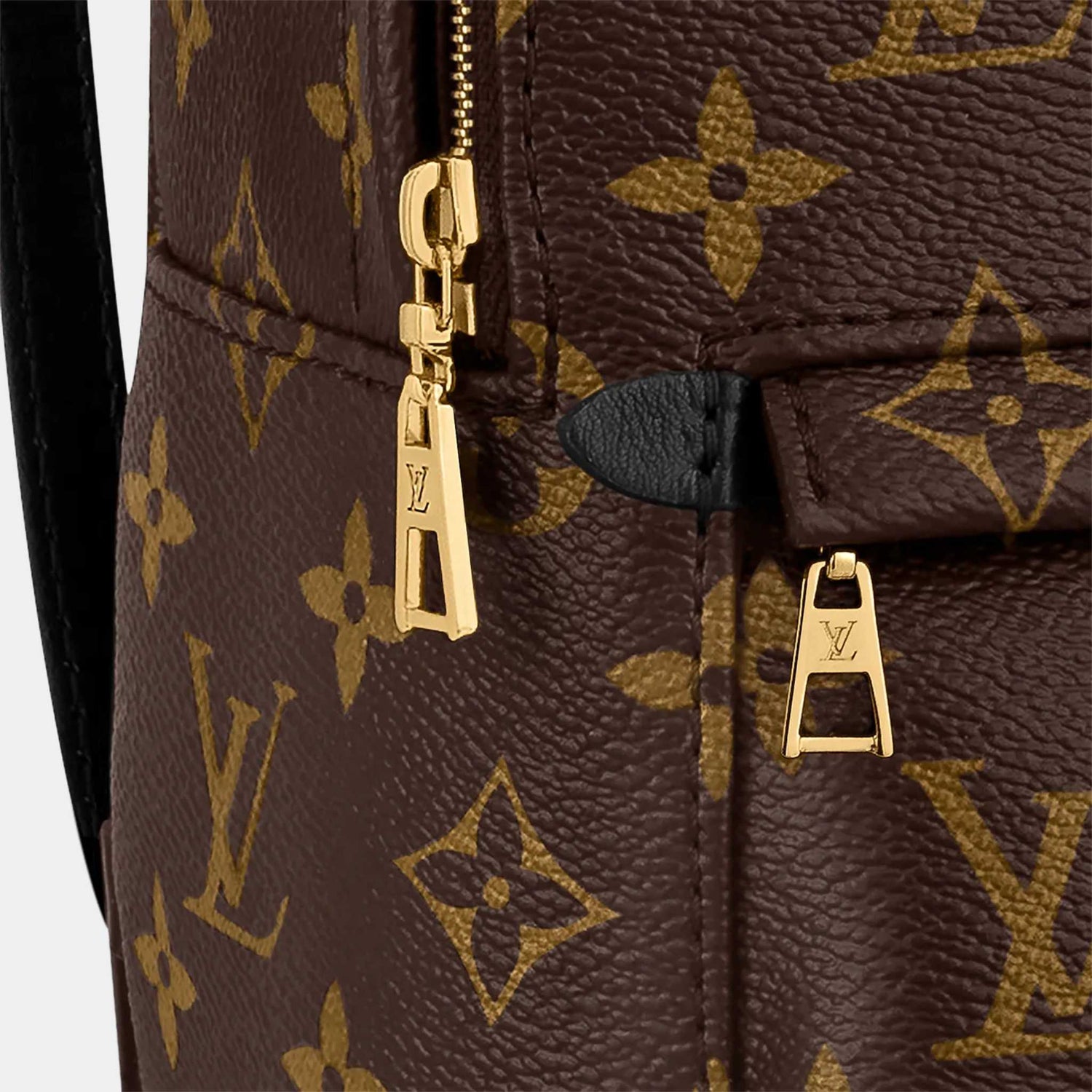 Louis Vuitton Palm Springs Mini Backpack, Closeup