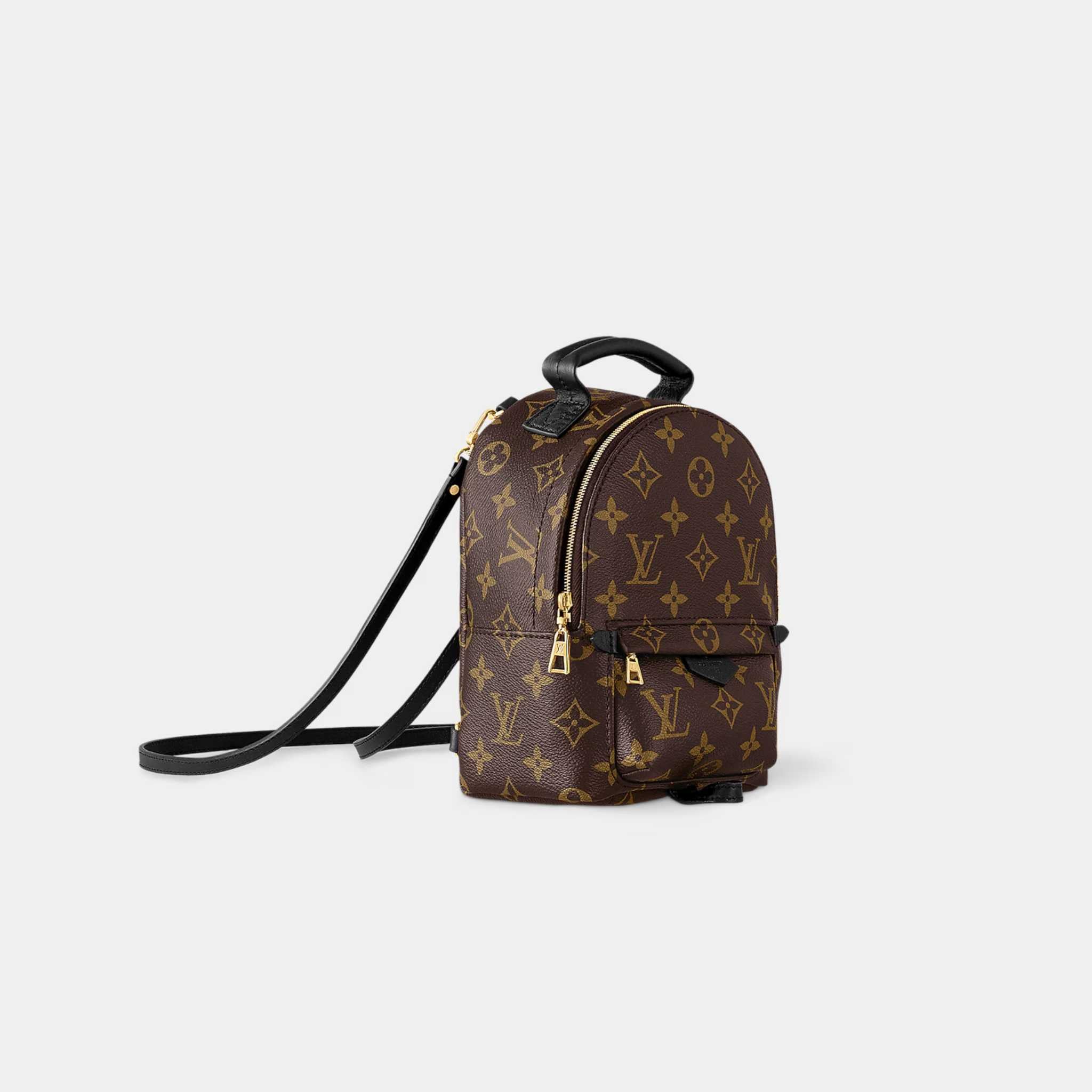 Louis Vuitton Palm Springs Mini Backpack, Side