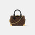 Louis Vuitton Speedy Trunk 20 Handbag, Front