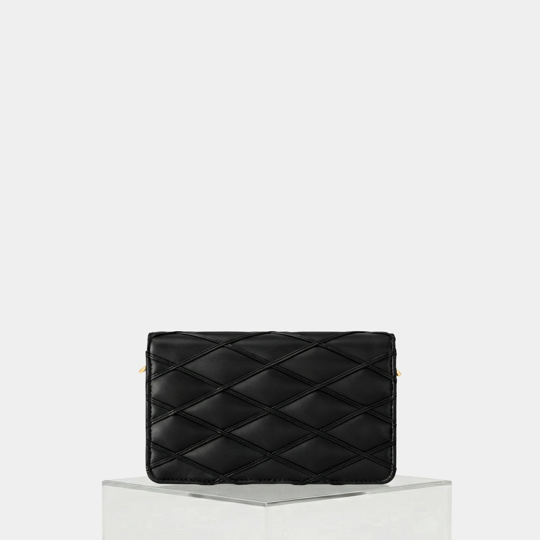 Louis Vuitton Wallet On Chain GO-14 Black Handbag Cruise, Back