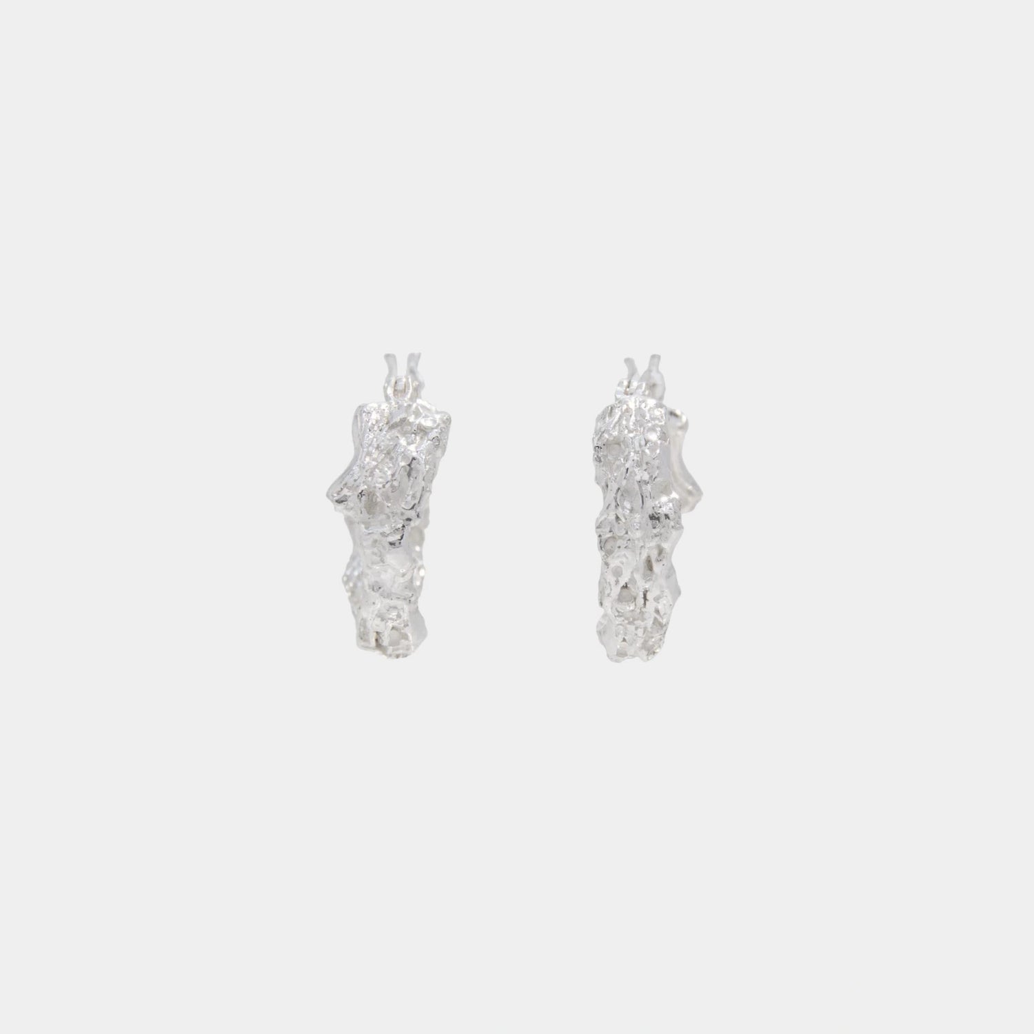 Rebutia Small Earrings