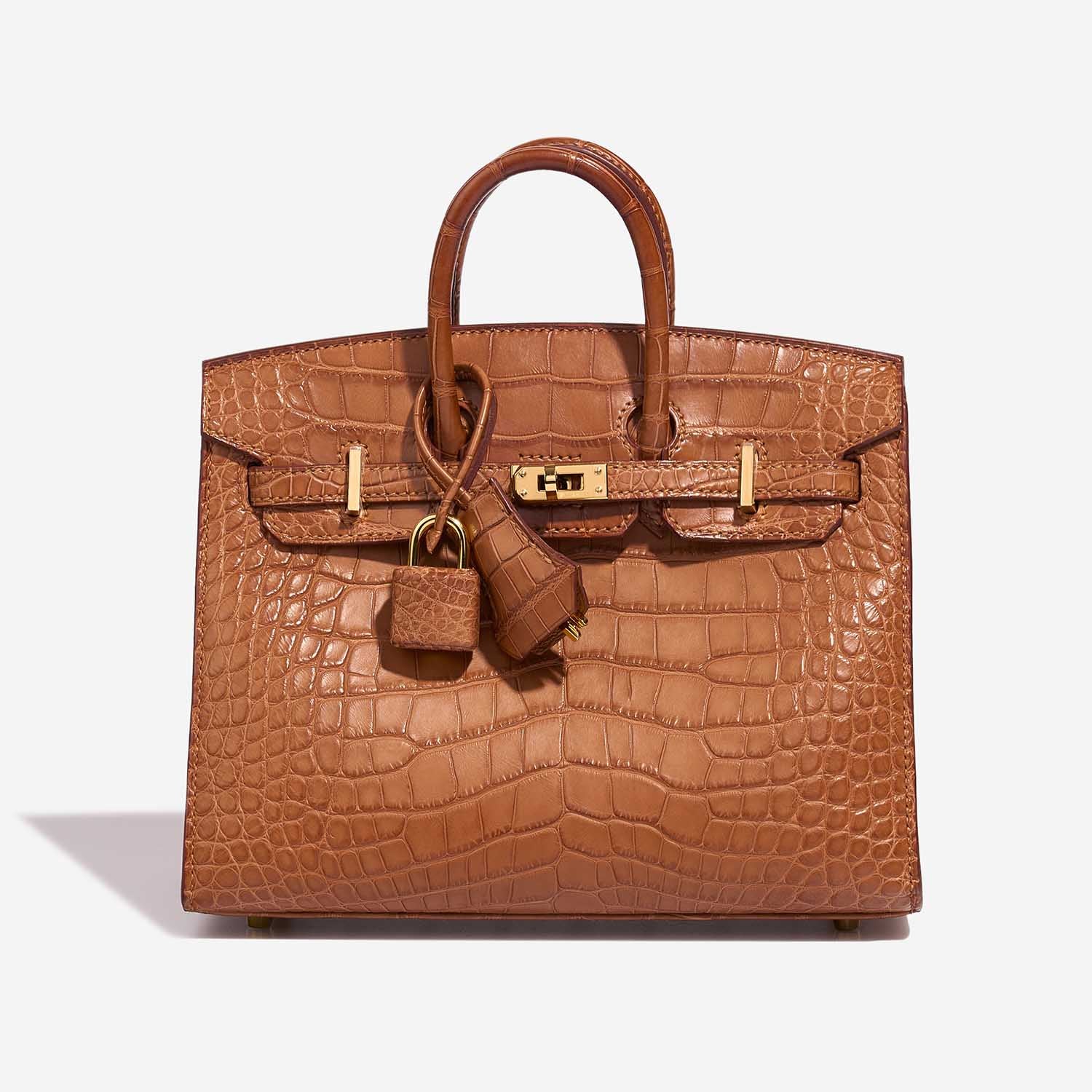 Birkin 20 Alligator Mississippi Gold