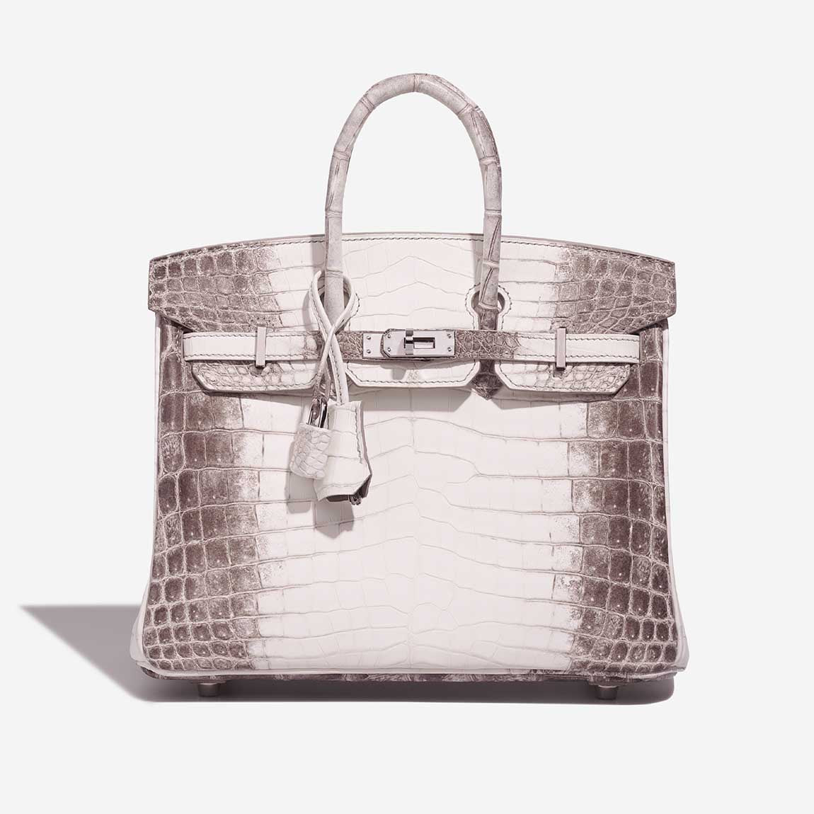 Birkin Himalaya 25 Niloticus Crocodile White