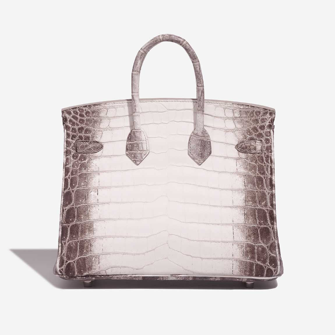 Birkin Himalaya 25 Niloticus Crocodile White