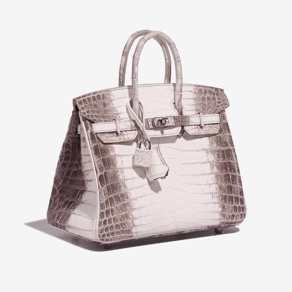 Birkin Himalaya 25 Niloticus Crocodile White