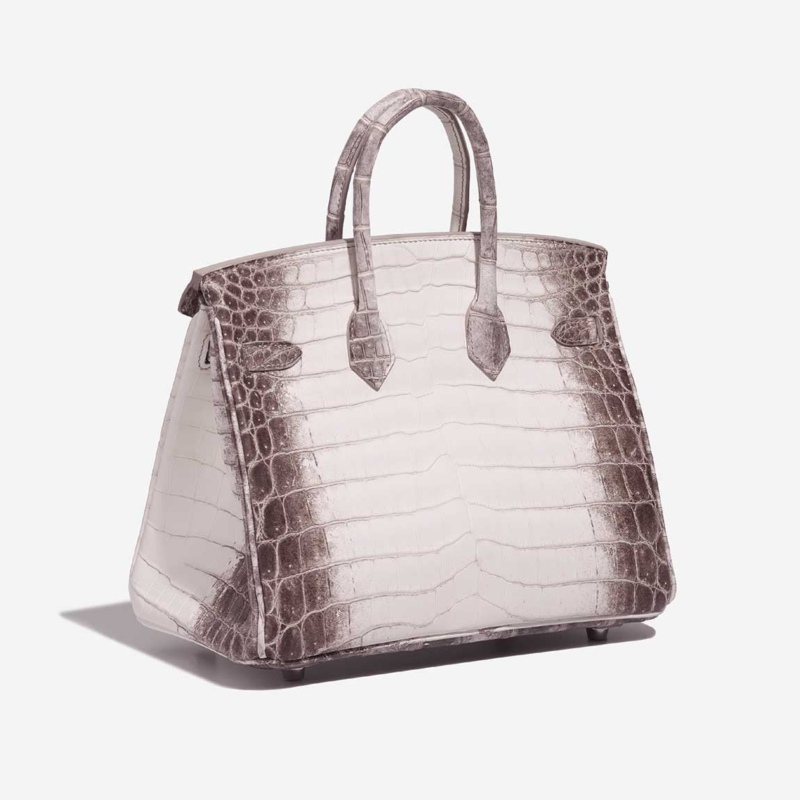 Birkin Himalaya 25 Niloticus Crocodile White