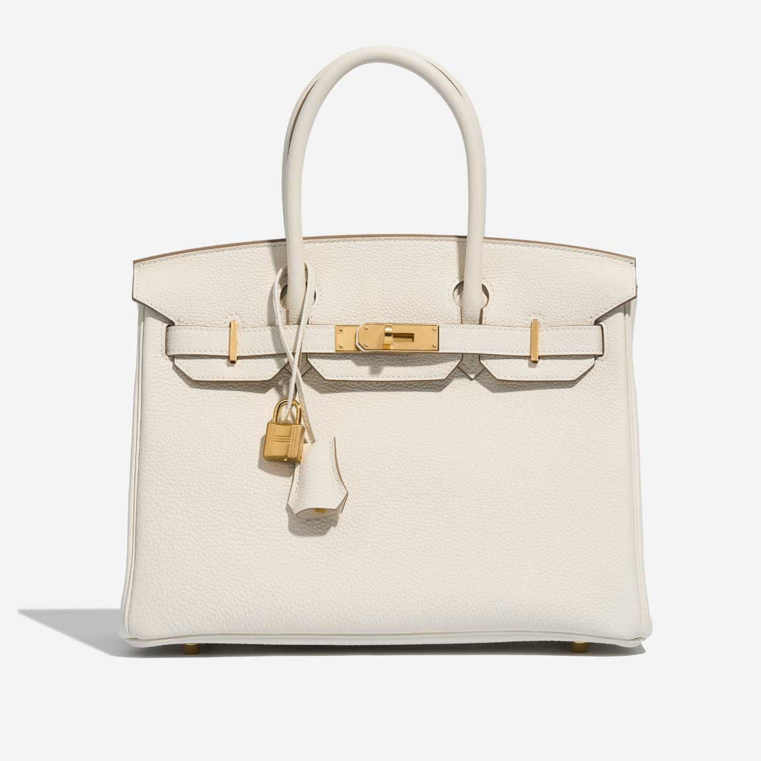 Birkin 30 Togo Mushroom