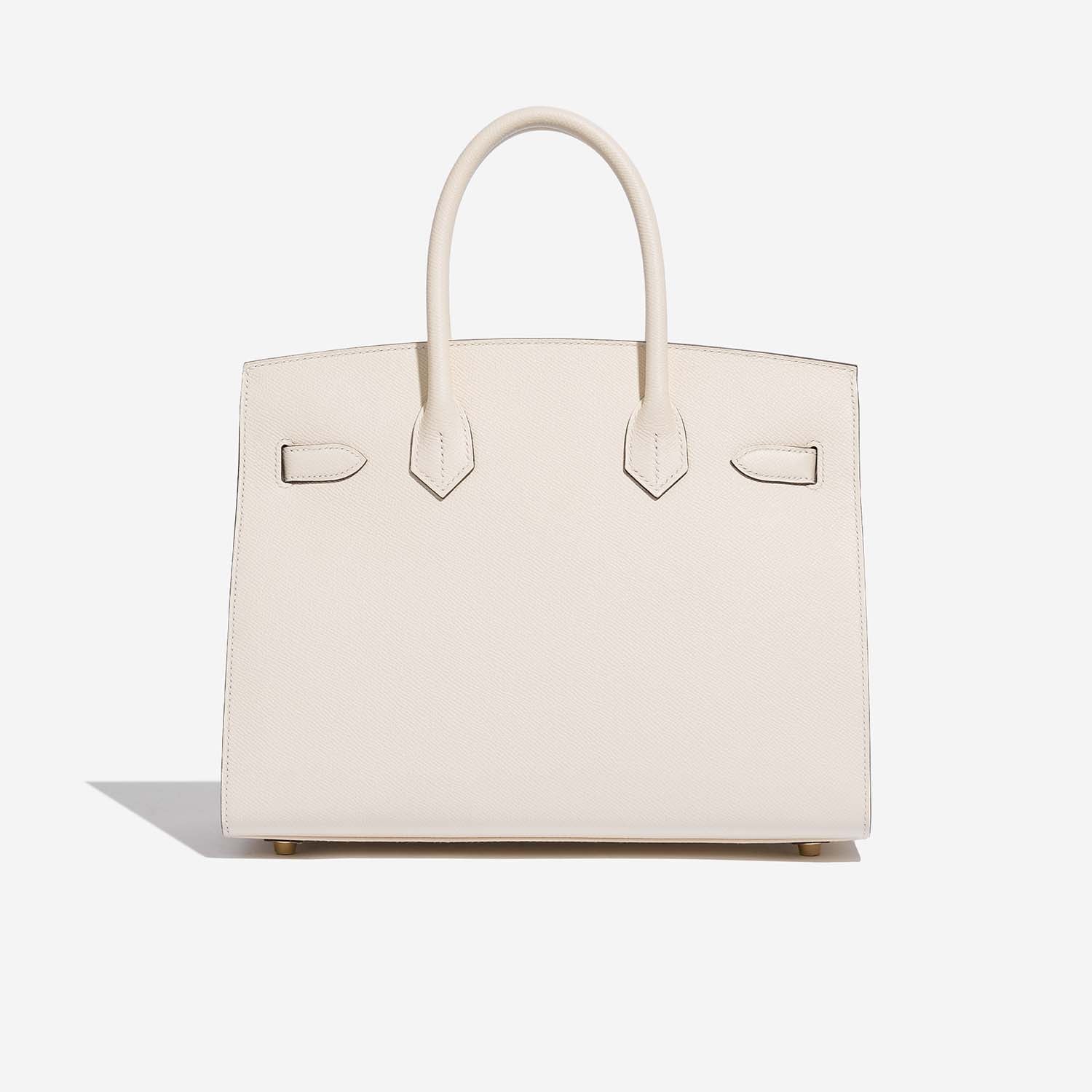 Birkin 30 Epsom Nata