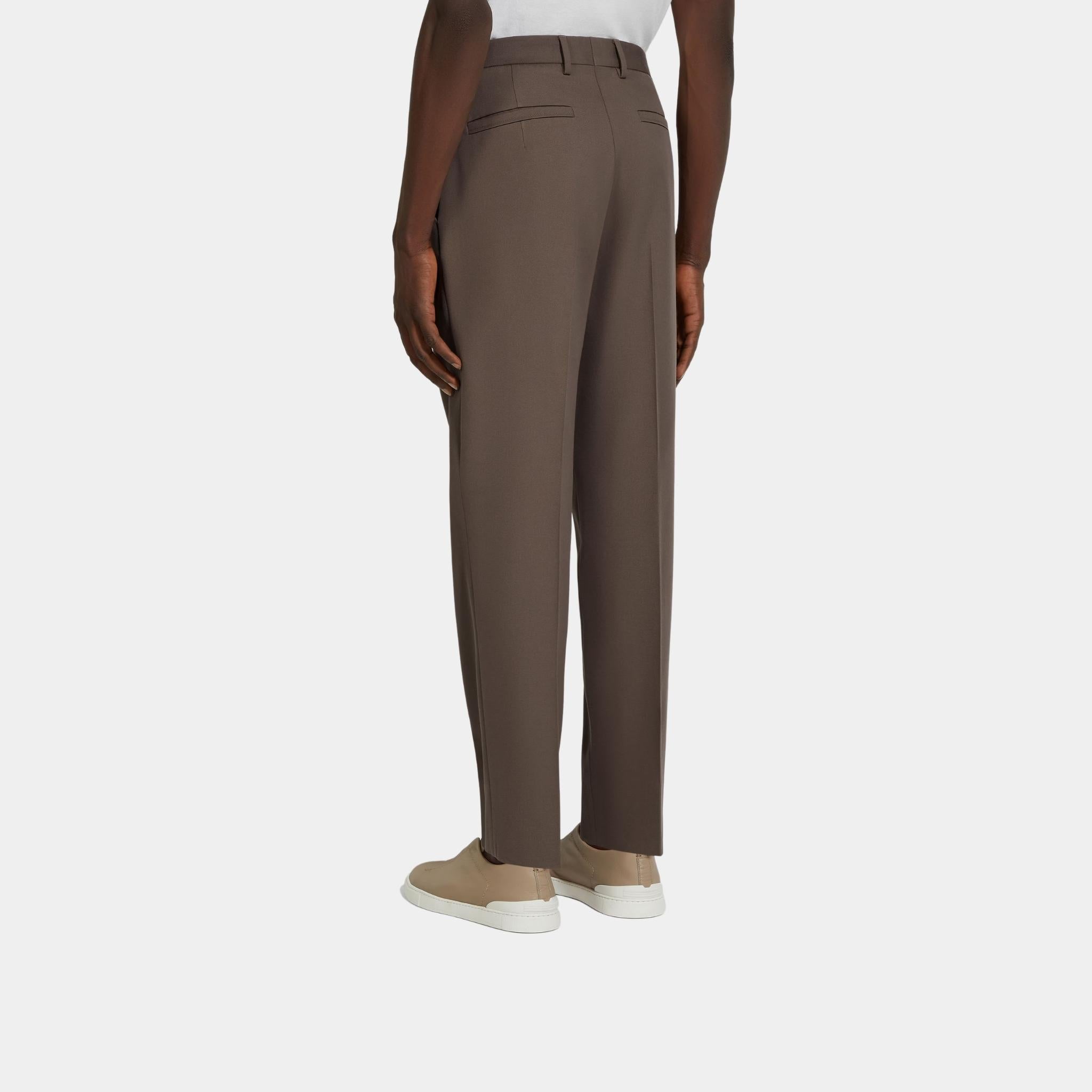 Zegna Cotton and Wool Pants With Single Front Pleats, Dark Taupe, Back